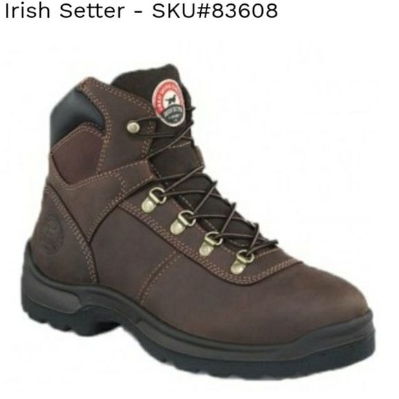 irish setter 83608